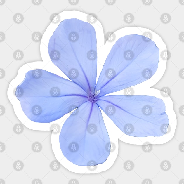 Blue Flower Photo Sticker by ellenhenryart